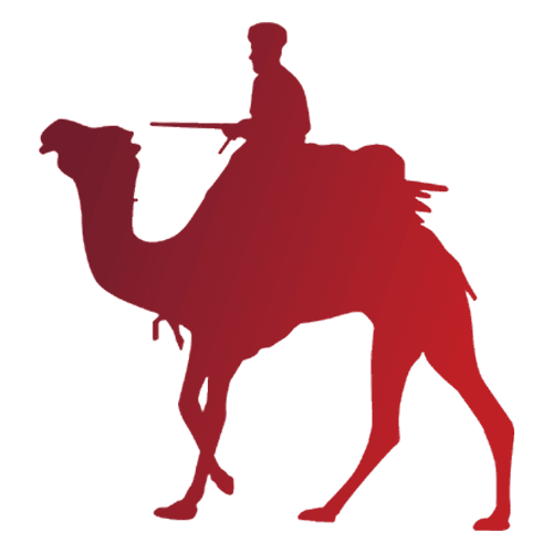 Camel Ride