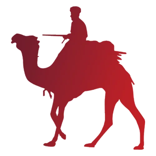 Camel Ride