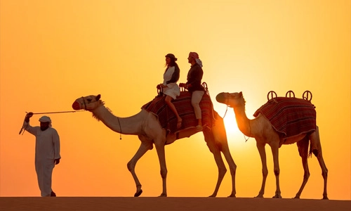 camel ride